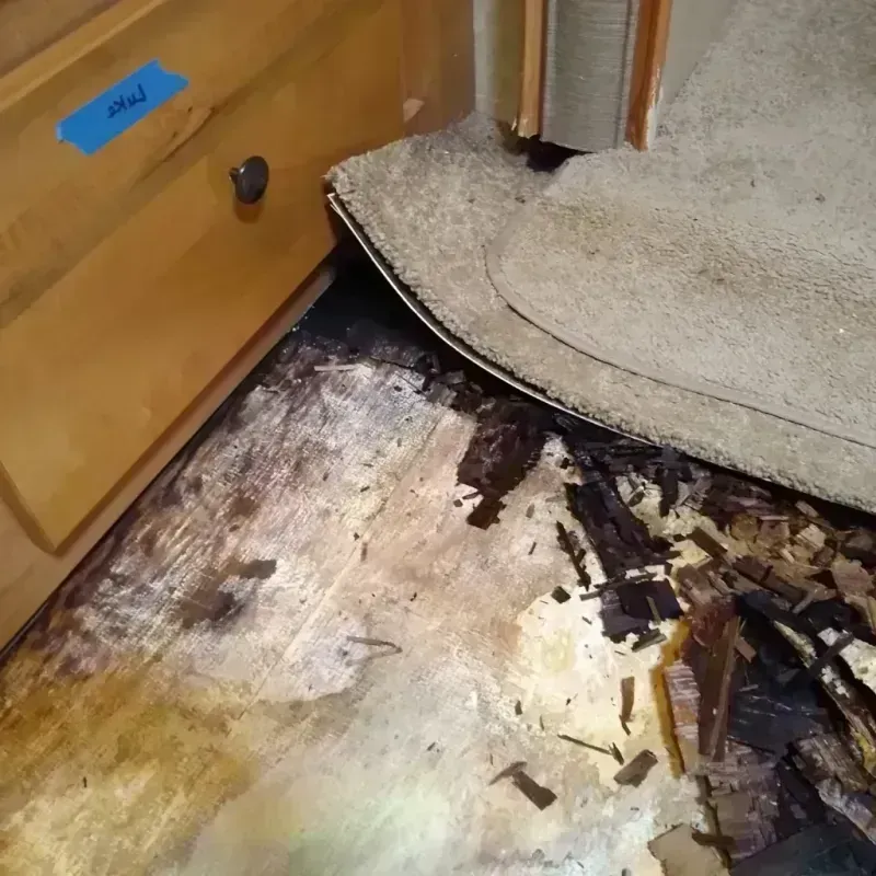 Best Wood Floor Water Damage Service in Saint Jacob, IL